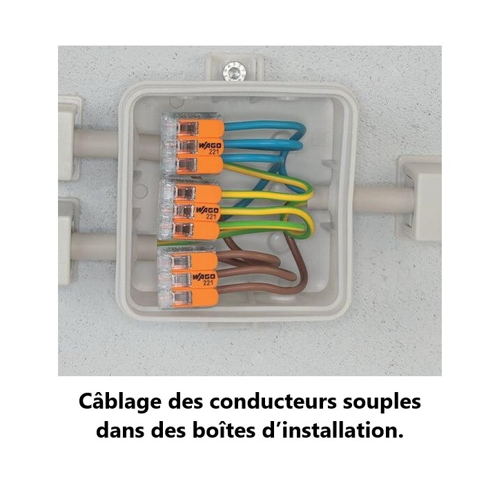 WAGO - Boîte de 50 Bornes auto fils Souple / Rigide 2 x (0.5 à 6mm2) - Réf.: WAG 221-612