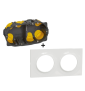 Schneider Odace - Plaque 2 postes + Boîte Batibox BBC Legrand 2 postes - Hor/vert - S520704+080022L