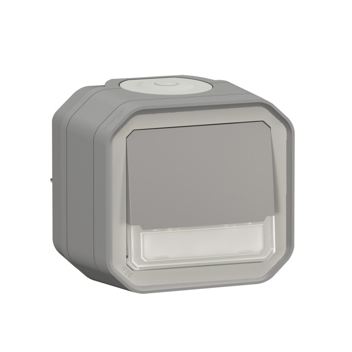Legrand - Plexo - Poussoir NO-NF lumineux porte-étiquette avec voyant - encastré - gris - IP55/IK08 - Réf : 069544L+069681L