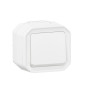 Legrand Plexo - Poussoir NO+NF lumineux - 10A - 250V - saillie - étanche - IP55/IK08 - Blanc - Réf : 069616L+069689L