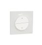 Schneider Odace - Poussoir volets-roulant 2 boutons montée/descente + plaque - s520207+s520702