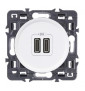 Legrand - Céliane 2024 - Double prise chargeur USB - Type C - Blanc - SANS PLAQUE - 1 poste - Réf : CX0154