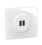 Legrand - Céliane 2024 - Double prise chargeur USB - Type C - Blanc - COMPLET - Réf : 080251 + CM0154 + CB0154 + CP0001
