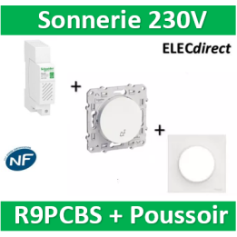 Schneider - Sonnerie modulaire RESI9 230V - 80dB + Poussoir + plaque Odace - R9PCBS+s520246+s520702