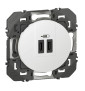 Legrand - Dooxie - Double chargeur USB Type-C - 3A - 15W - Blanc - Réf : 600345