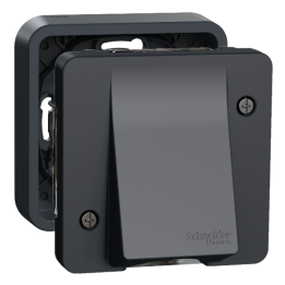 Schneider - Mureva - Sortie de Câble Complète Encastrée - Connexion AUTO - Gris - IP55 IK08 - Réf : LOT3066