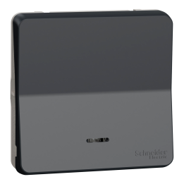 Schneider - Mureva Styl - Composable va et vient lumineux - IP55 - IK08 - con. auto - gris - Réf : MUR35025