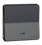 Schneider - Mureva Styl - Composable va et vient lumineux - IP55 - IK08 - con. auto - gris - Réf : MUR35025