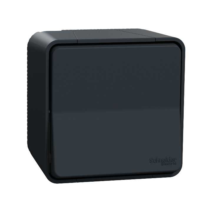 Schneider - Mureva Styl - Va et vient - saillie - IP55 - IK08 - connexion auto - gris - Réf : MUR35021