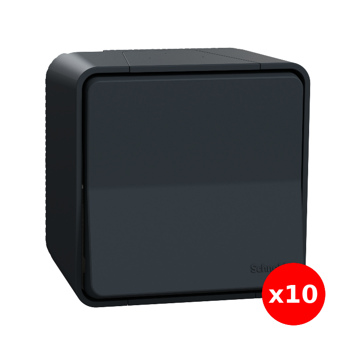 Schneider - Mureva Styl - Va et vient - saillie - IP55 - IK08 - connexion auto - gris - Réf : MUR35021