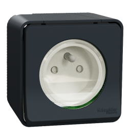 Schneider - Mureva Styl - Prise courant 2P+T - saillie - IP55 - IK08 - connexion auto - gris - Réf : MUR35031