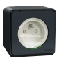 Schneider - Mureva Styl - Prise courant 2P+T - saillie - IP55 - IK08 - connexion auto - gris - Réf : MUR35031