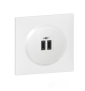 Legrand - Dooxie - prêt à poser - Double chargeur USB Type-C avec plaque de finition blanche Réf : 600345+600801
