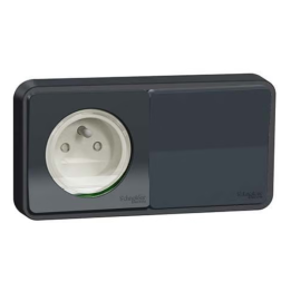 Schneider - Mureva Styl - Prise courant 2P+T + va et vient horizontale - saillie - IP55 - IK08 - connexion auto -  Réf : LOT3327