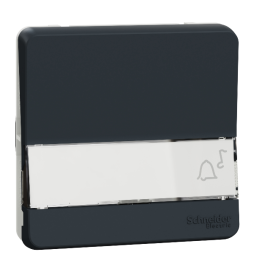 Schneider - Mureva Styl - Poussoir porte étiquette - Composable  - IP55 - IK08 - con. auto - gris - MUR34029