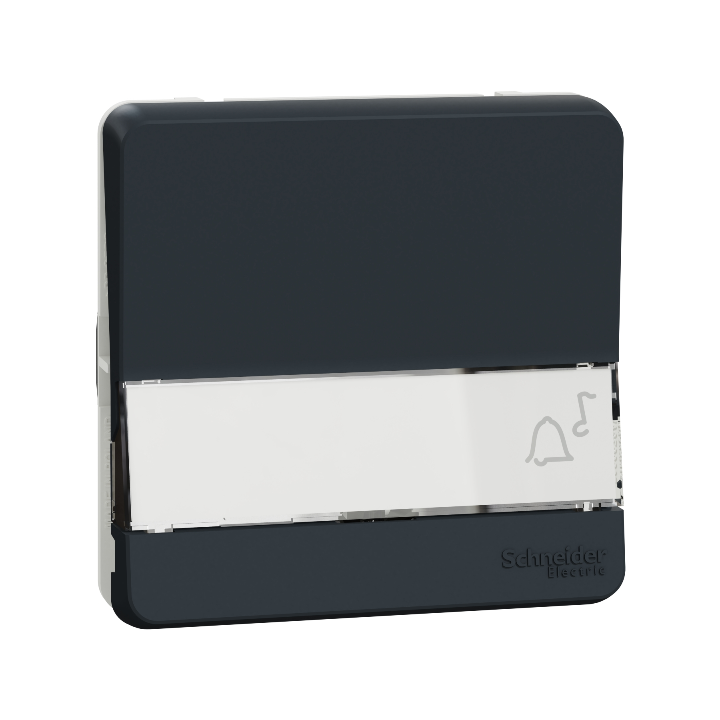Schneider - Mureva Styl - Composable poussoir porte étiquette - saillie ou encastré  - IP55 - IK08 - con. auto - gris - MUR34029