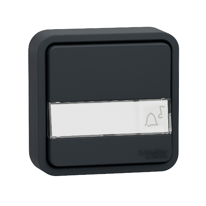 Schneider - Mureva Styl - LOT de 10 poussoirs porte étiquette - Composable  - IP55 - IK08 - con. auto - gris - MUR34029