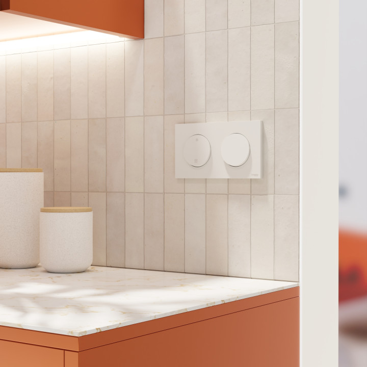 Schneider - Odace 2025 - plaque de finition 2 postes - couleur Blanc craie - Réf : S920704