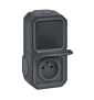 Legrand Plexo - PC 2P+T - 16A - 250V + Va-et-Vient 10A - Complet saillie - Anthracite - IP55/IK08 - Réf : 070067
