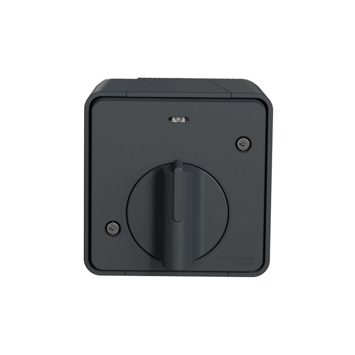 Schneider - Mureva Styl - Interrupteur temporise LED - saillie - IP55 - IK08 - gris - Réf : MUR35067
