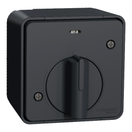 Schneider - Mureva Styl - Interrupteur temporise LED - saillie - IP55 - IK08 - gris - Réf : MUR35067