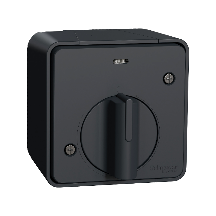 Schneider - Mureva Styl - Interrupteur temporise LED - saillie - IP55 - IK08 - gris - Réf : MUR35067