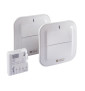 Delta Dore - Pack va-et-vient sans fil - Réf : Tyxia 611