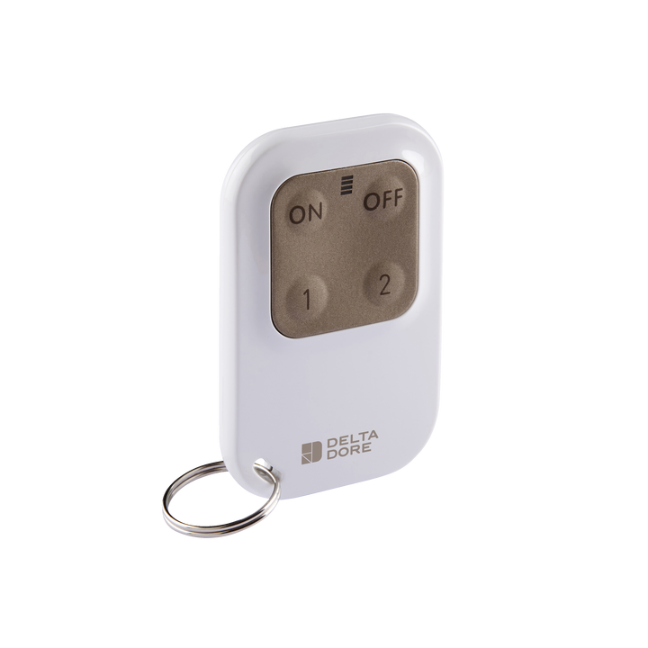 Delta Dore - Télécommande porte-clé 4 touches pour système d'alarme et automatismes - Marche/Arrêt - Réf : TL 2000 Tyxal+