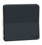Schneider - Mureva styl - Permutateur - composable  - IP55 - IK08 - connexion auto - gris - MUR35020