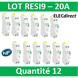 SCHNEIDER - LOT - DISJONCTEUR RESI9 XP (à VIS) - 20A - VIS/VIS - R9PFC620x12
