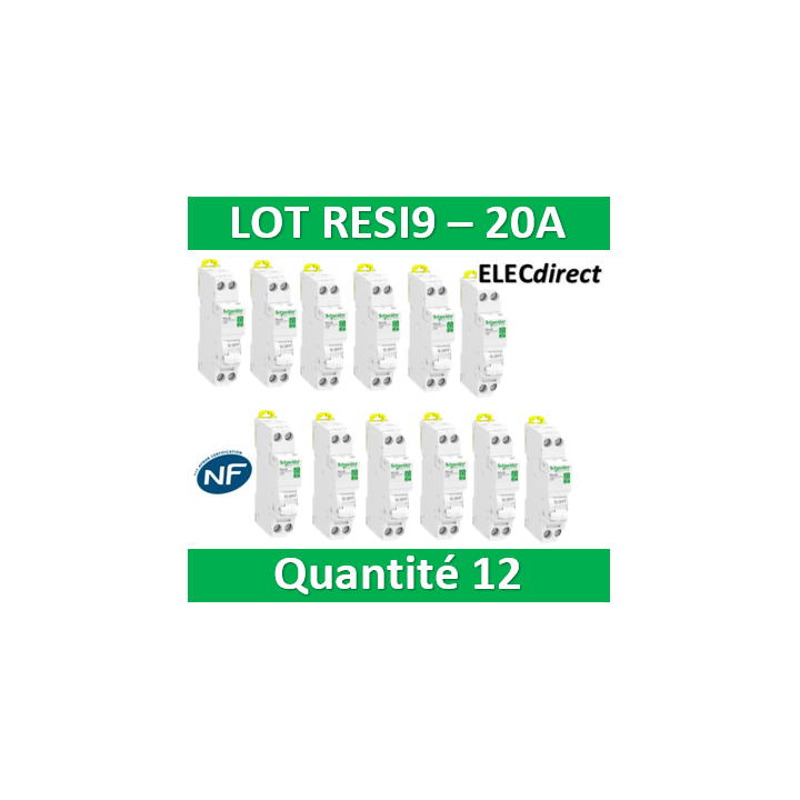 SCHNEIDER - LOT - DISJONCTEUR RESI9 XP (à VIS) - 20A - VIS/VIS - R9PFC620x12