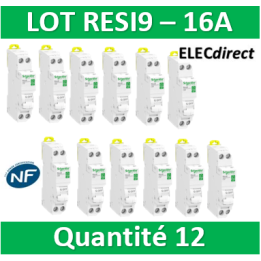 SCHNEIDER - LOT - DISJONCTEUR RESI9 XP (à VIS) - 16A - VIS/VIS - R9PFC616x12