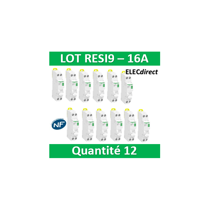 SCHNEIDER - LOT - DISJONCTEUR RESI9 XP (à VIS) - 16A - VIS/VIS - R9PFC616x12