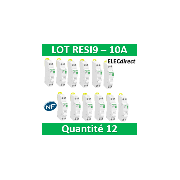 SCHNEIDER - LOT - DISJONCTEUR RESI9 XP (à VIS) - 10A - VIS/VIS - R9PFC610x12