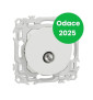 Schneider - Odace 2025 - prise TV simple mâle - sortie coaxiale - blanc craie - Réf : S920445