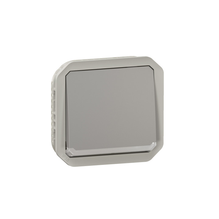 Legrand Plexo - Interrupteur témoin avec voyant - 10A - 250V - étanche - IP55/IK08 - Gris - 069512L