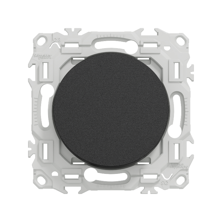 Schneider - Odace 2025 - va-et-vient ou poussoir - 10AX - noir onyx - Réf : S940204