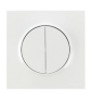 Schneider Odace - Double Poussoir 10A Complet - 250V - Réf : S520216+S520702
