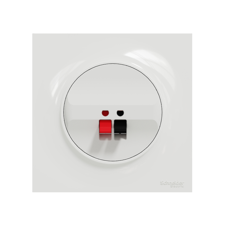 Schneider Odace - Prise haut-parleur 1 sortie - Réf : S520487+S520702