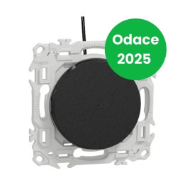 Schneider - Odace 2025 - va-et-vient ou poussoir lumineux/témoin LED verte 0,15mA - 10AX - noir onyx - Réf : S940263