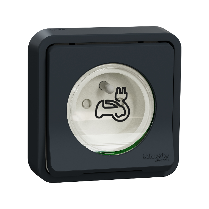 Schneider - Mureva Styl - Prise courant 2P+T - renforcée pour VE - encastré - IP55 - IK08 - gris - MUR36011