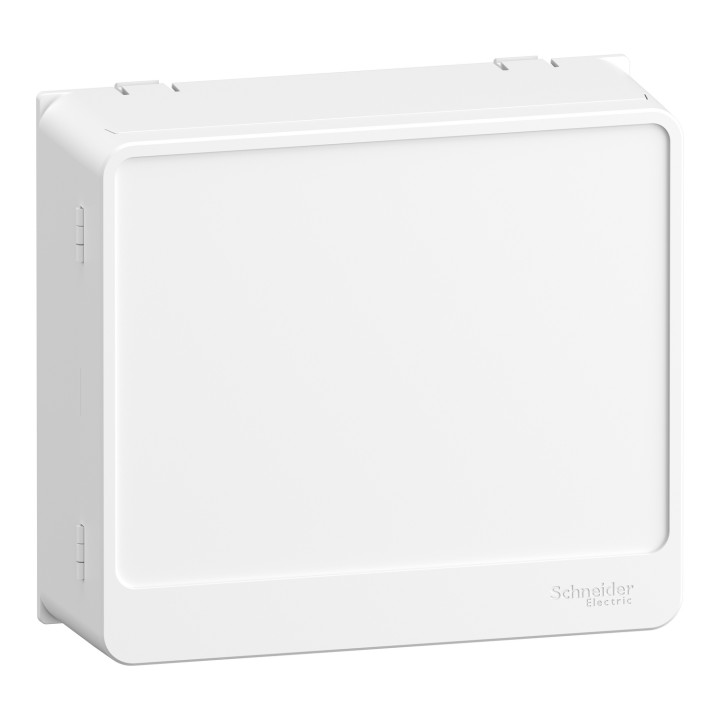 Schneider - Disjoncteur de branchement EDF + platine + habillage + porte - R9FT645+R9H13206+R9H13418