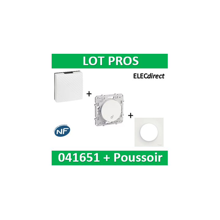Schneider Odace - Blanc Poussoir avec symbole carillon + plaque + carillon- S520246+s520702+041651