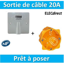 SIB - Sortie de câble 16/20A - à vis dim. 80x80 + boîte Legrand batibox - P11016+080041