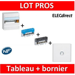 Legrand - LOT  - Coffret DRIVIA 13M + bornier Ph+N + porte - 401211+004815+004816+401331