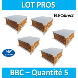 SIB - LOT - 5 Boîtes pavillonnaires BBC 200x200x85 - P32525x5