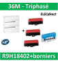 Schneider - Resi9 - LOT  - coffret 18M - 2R + bornier 3 phases+Neutre - R9H18402+R9H13411P