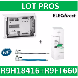 Disjoncteur de branchement EDF 60A instantané + Platine disjoncteur 18M - 500mA - bipolaire - R9FT660+R9H18416