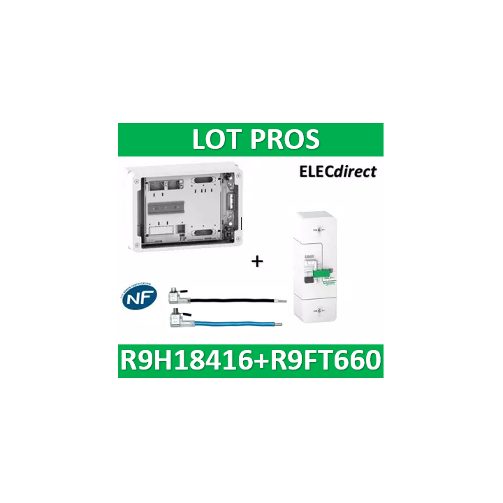 Disjoncteur de branchement EDF 60A instantané + Platine disjoncteur 18M - 500mA - bipolaire - R9FT660+R9H18416