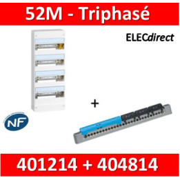 Legrand - LOT - Coffret DRIVIA 52 Modules trphasé+Neutre - 401214+404814